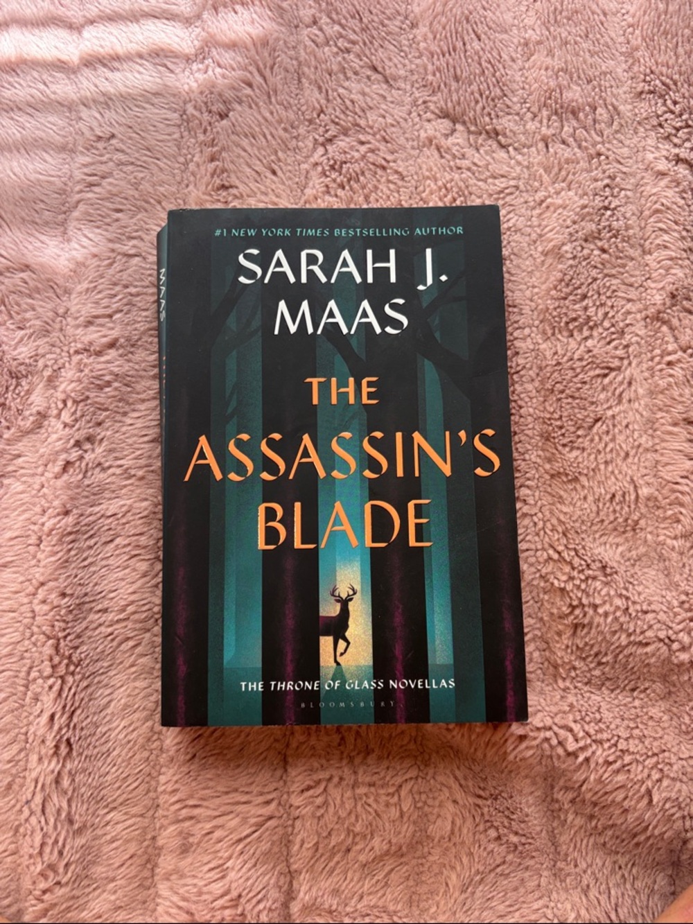 The Assassins Blade by Sarah J Mass